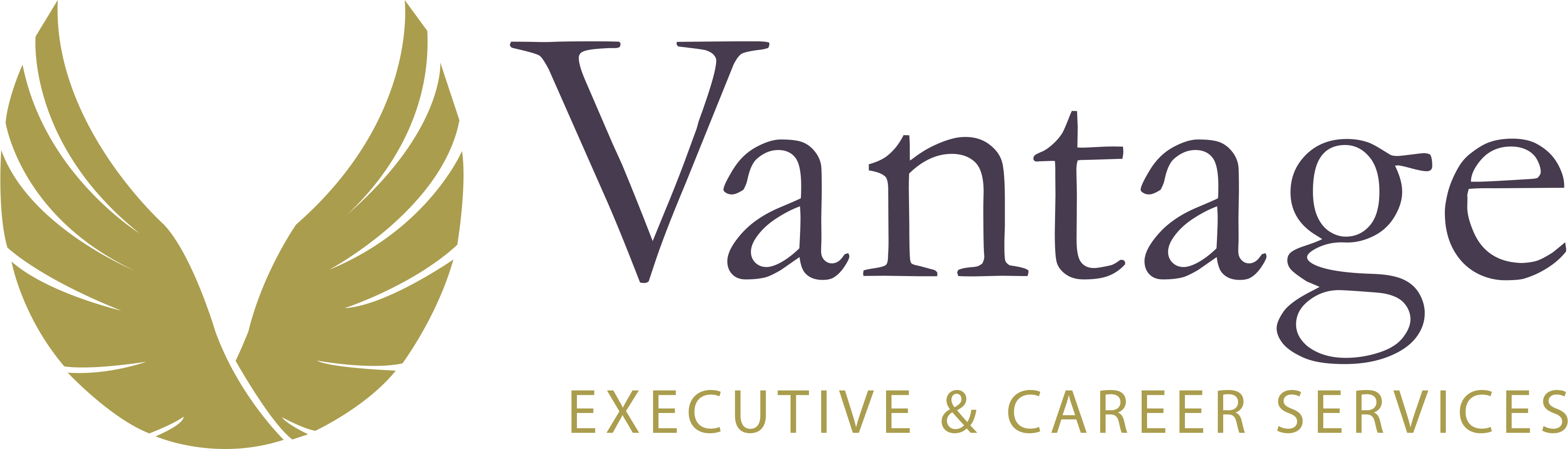 Vantage Executive & Career Services