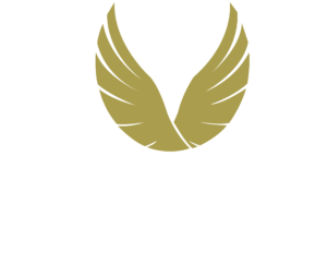 Vantage Executive & Career Services