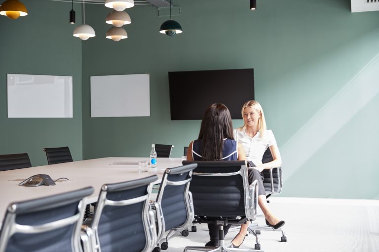 Two Business women in a conference room